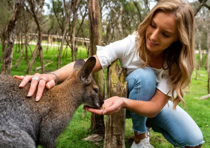 Melbourne: Peninsula Nature Private Day Trip with Dinner - Who This Tour Is Best For