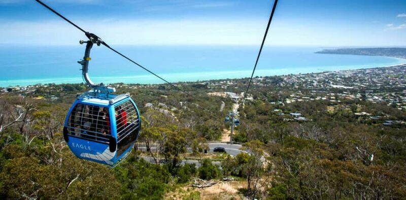 Melbourne: Peninsula Nature Private Day Trip with Dinner - Final Thoughts