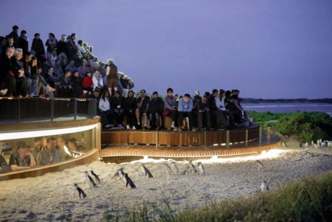 Melbourne: Phillip Island Penguins and Wildlife Sanctuary - Frequently Asked Questions