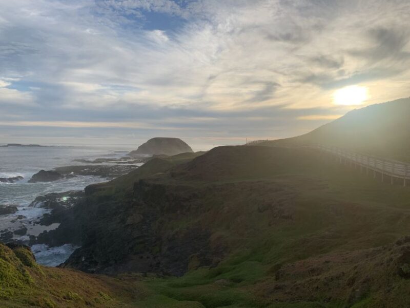 Melbourne: Phillip Island Tour & Penguin Parade - Seal Rocks Photo Stop