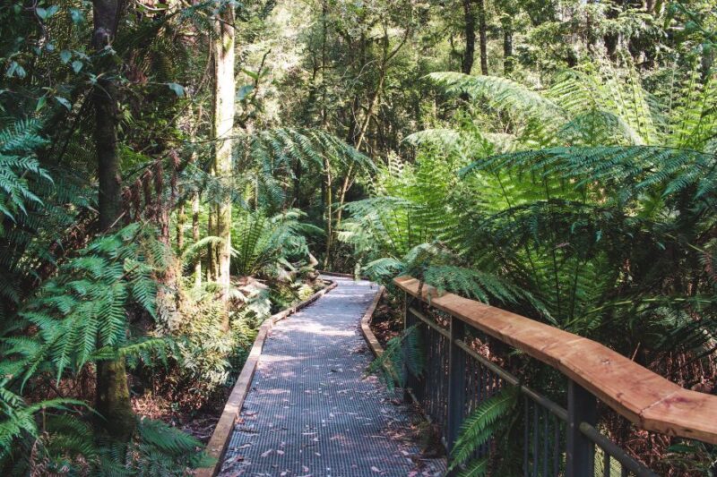 Melbourne: Private Great Ocean Road Day Tour With Lunch! - Itinerary