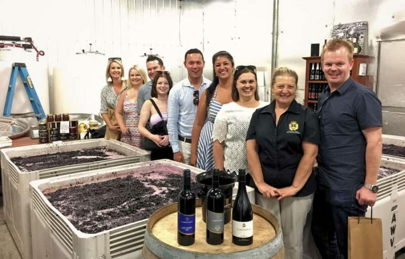 Melbourne: Relaxed Half-Day Yarra Valley Wine Tour - The Experience in Detail