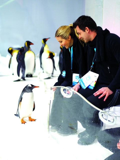 Melbourne: SEA LIFE Aquarium Entrance Ticket - Aquarium Highlights