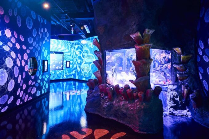 Melbourne: SEA LIFE Aquarium Entrance Ticket - Visitor Experiences