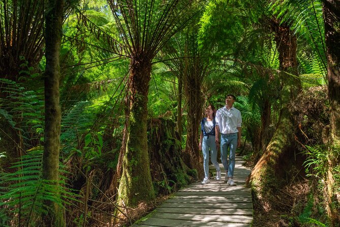 Melbourne Short Break Holiday to the Great Ocean Road & Grampians 3 Day Escape - Meeting and Pickup Information