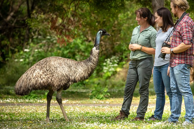 Melbourne Short Break Holiday to the Great Ocean Road & Grampians 3 Day Escape - Visiting Mackenzie Falls