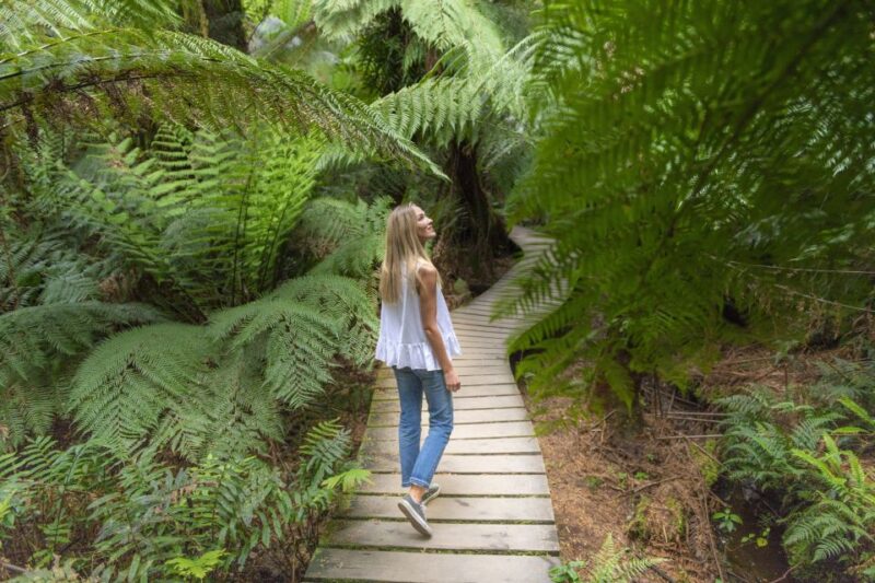 Melbourne to Adelaide: 2-Day Overland Explorer Tour - Exploring Grampians National Park