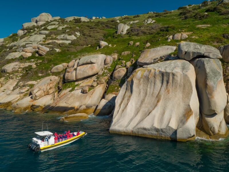 Melbourne: Wilsons Promontory Morning Wilderness Cruise - Scenic Boat Trip