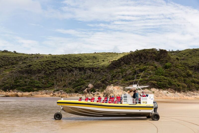 Melbourne: Wilsons Promontory Morning Wilderness Cruise - Southernmost Mainland Exploration