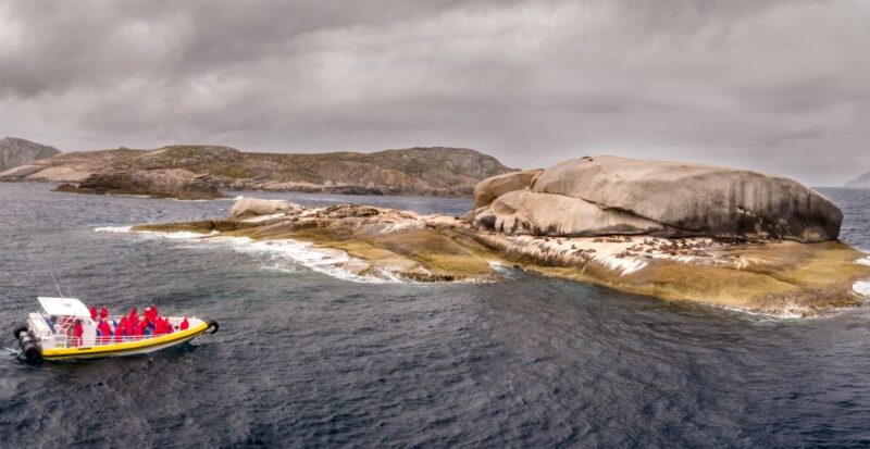 Melbourne: Wilsons Promontory Morning Wilderness Cruise - Wildlife and Nature