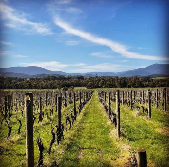 Melbourne: Yarra Valley Chandon, Cheese, Chocs and Kangaroos - Tour Inclusions and Exclusions