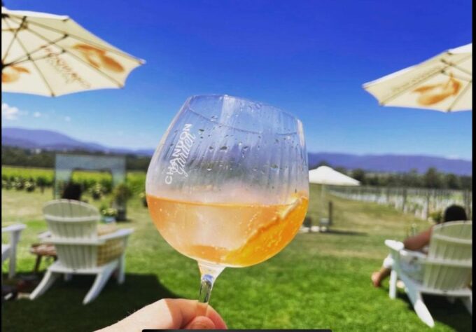 Melbourne: Yarra Valley Chandon, Cheese, Chocs and Kangaroos - What to Expect on the Tour