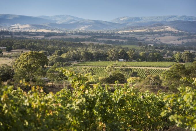 Melbourne: Yarra Valley Wine and Chocolate Tour - Restrictions Noted