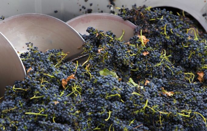 Melbourne: Yarra Valley Wine and Chocolate Tour - Frequently Asked Questions