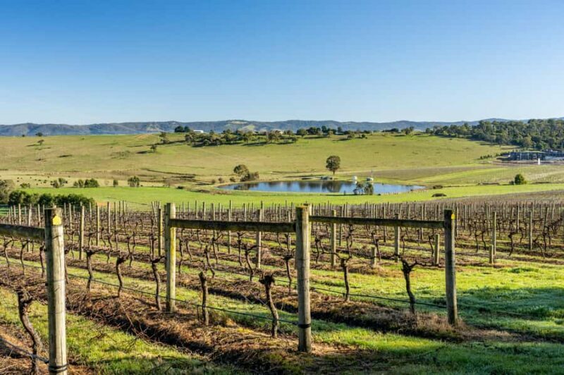 Melbourne: Yarra Valley Wine, Cider, Gin, Beer, & Choc Tour - Melbourne: Yarra Valley Wine, Cider, Gin, Beer, & Choc Tour