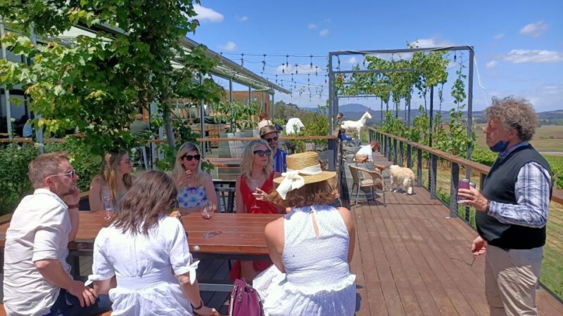 Melbourne: Yarra Valley Wine, Gin, and Chocolate Tour - Itinerary and Activities