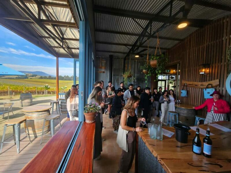 Melbourne: Yarra Valley Wine, Gin, Whisky and Chocolate Tour - Final Thoughts: Who Is This Tour Best For?