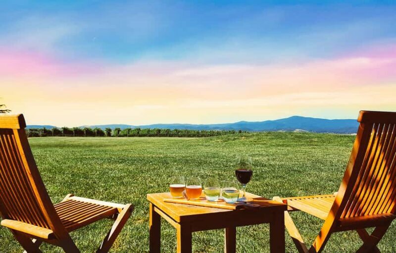 Melbourne: Yarra Valley Wine Tour + Lunch & Gin/Beer Option - The Optional Final Stop: Gin or Beer