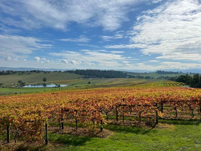 Melbourne: Yarra Valley Wine Tour + Lunch & Gin/Beer Option - FAQ: Your Practical Questions Answered