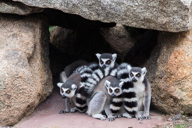 Melbourne Zoo General Entry Ticket - Family-Friendly Attractions