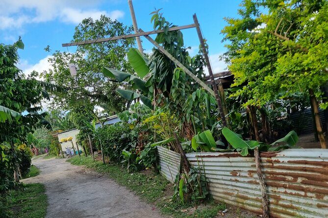 Mele Village Guided Walking Tour - In-Depth Look at the Mele Village Guided Walking Tour