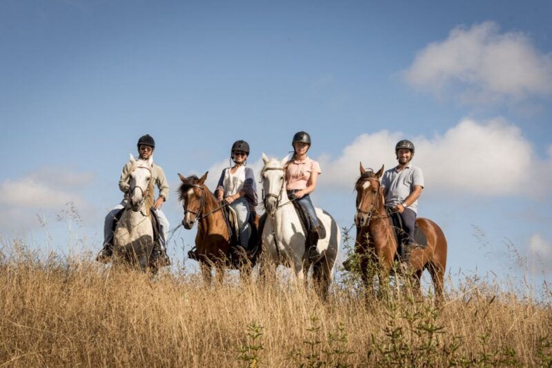 Melides: Horse Riding on the Beach With Wine Tasting - Route and Experience