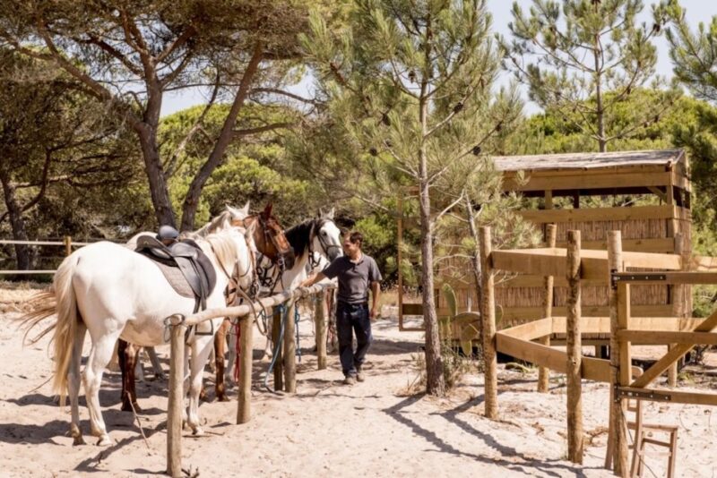Melides: Horse Riding on the Beach With Wine Tasting - Cancellation and Languages