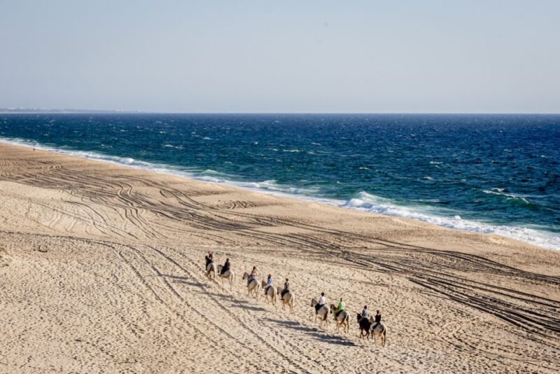 Melides: Horse Riding on the Beach With Wine Tasting - Customer Feedback