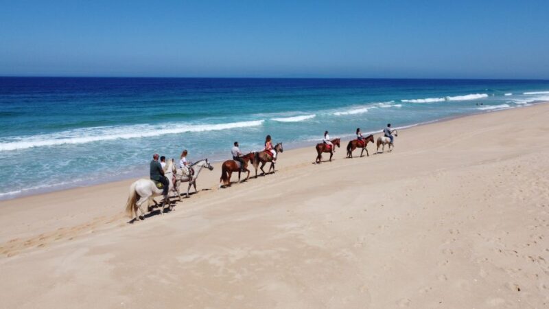 Melides: Horseback Riding on Melides Beach - Inclusions and Exclusions
