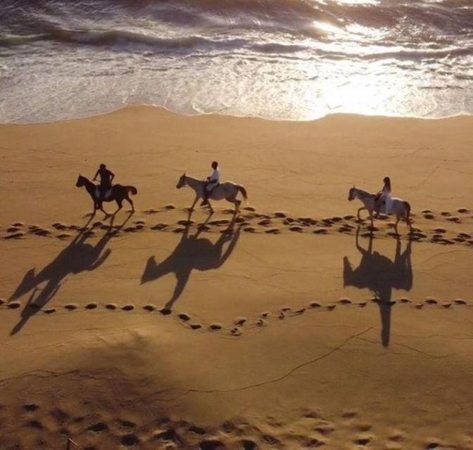 Melides: Horseback Riding on Melides Beach - Pricing and Booking Details