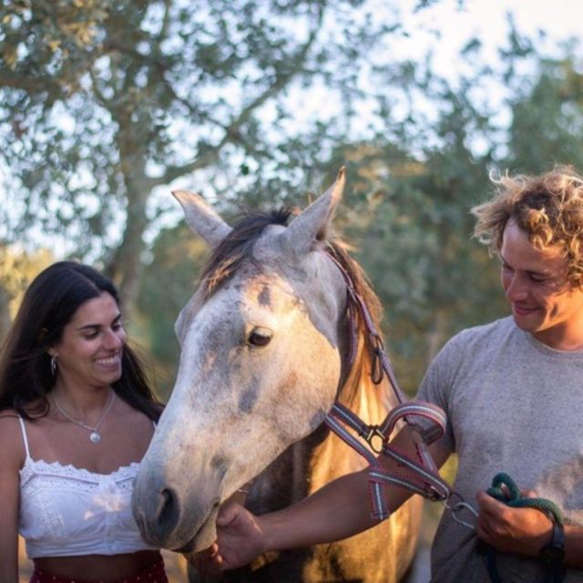 Melides: Horseback Riding on Melides Beach - Arrival and Transportation