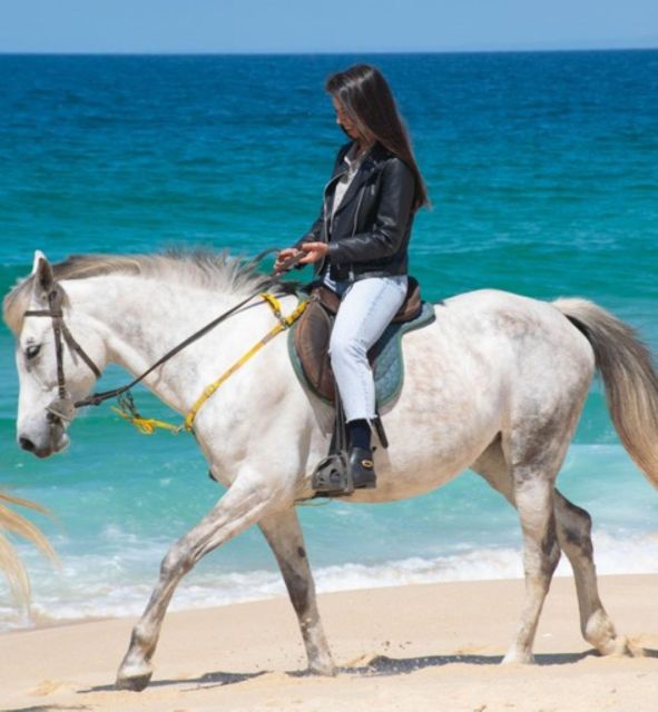 Melides: Horseback Riding on Melides Beach - Group Size and Tour Languages