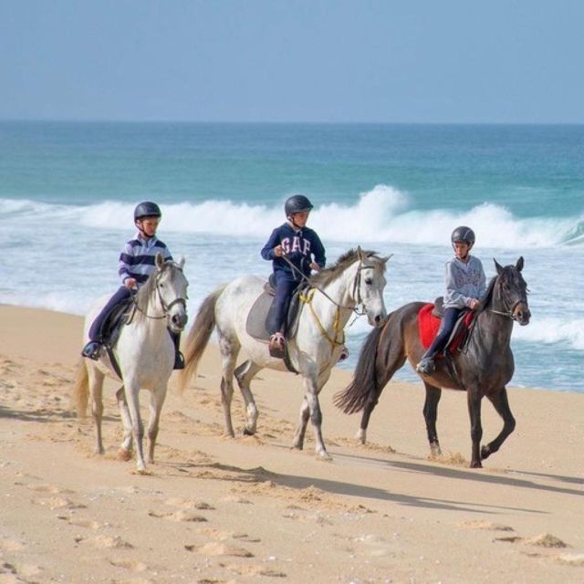 Melides: Horseback Riding on Melides Beach - Duration and Itinerary