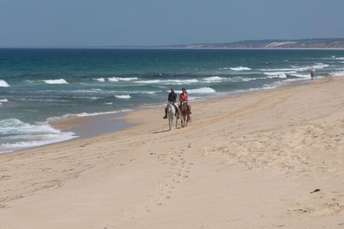 Melides: Horseback Riding on Melides Beach - Frequently Asked Questions