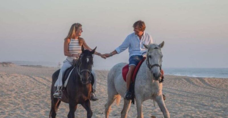 Melides: Horseback Riding on Melides Beach - Highlight of the Experience