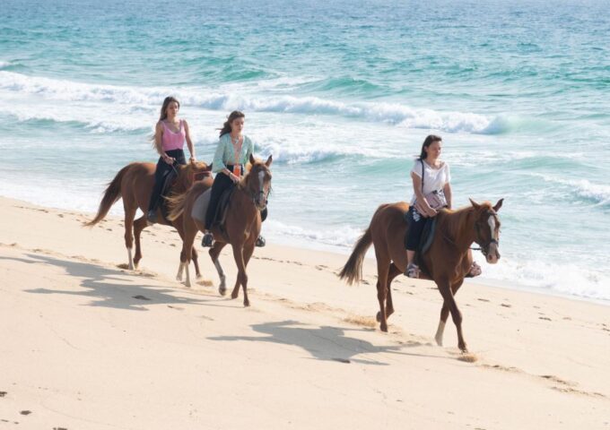 Melides: Horseback Riding on Melides Beach - Duration and Itinerary