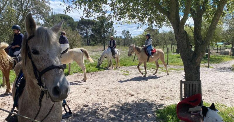 Melides: Horseback Riding on the Beach With Transfer Lisbon - Itinerary and Transportation