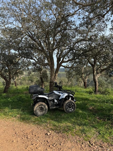 Melides: Moto 4 | Explore Magnificent Landscapes & Mountains - Frequently Asked Questions