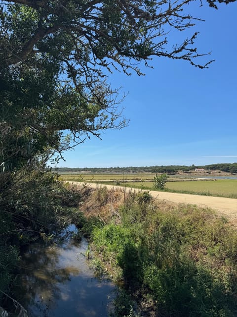 (Melides: Moto 4 | Rice Fields & Bird Watching - What to Expect