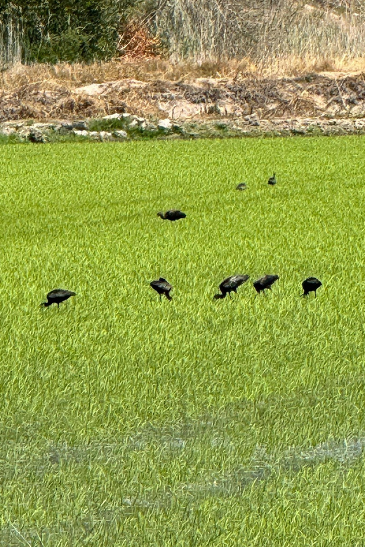 Melides: Moto 4 | Rice Fields & Coastal Tour - Itinerary Details