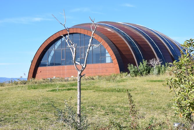 Melnik Wine Tasting Tour From Sofia - Wine Cellar Visit
