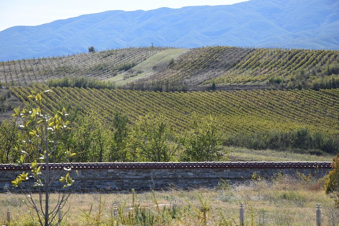 Melnik Wine Tasting Tour From Sofia - Wine Tasting Experience