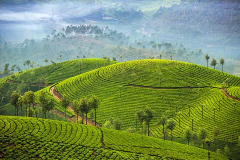 Memorable, Munnar Hill Station Tour (02 Nights / 03 Days) - Transport and Logistics