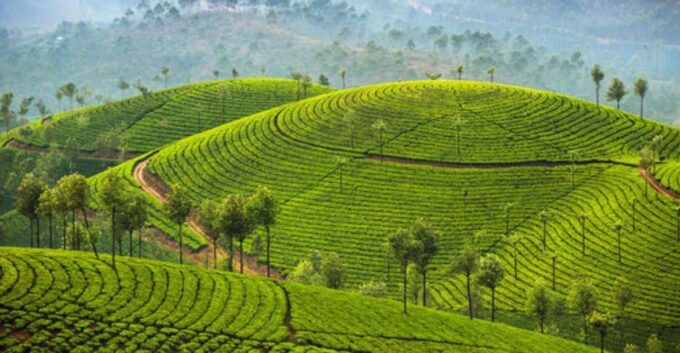 Memorable, Munnar Hill Station Tour (02 Nights / 03 Days) - Important Considerations