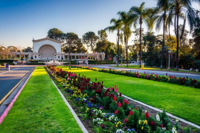 Memorable Private San Diego´s Seaside and Beach Towns Tour. - Explore Seals and Seaside Charm