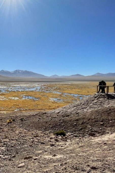 Memorable Tatio Geysers Tour With Flamingos and Scenic Views - Tatio Geysers Exploration