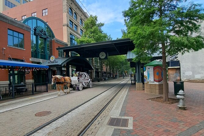 Memphis City Highlights: Private Guided Sightseeing Tour - Customer Reviews