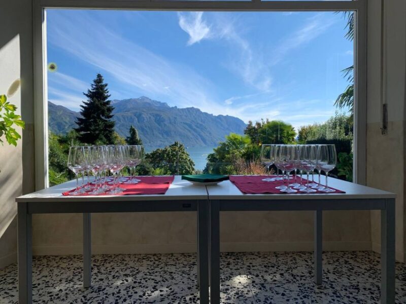 Menaggio: Wine Tasting and Snacks With Views of Lake Como - Customer Feedback and Ratings