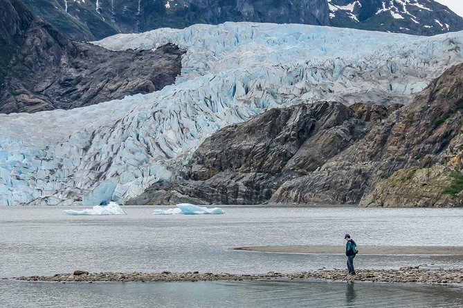 Mendenhall Glacier and Ultimate Whale Watch Combo - Booking and Cancellation
