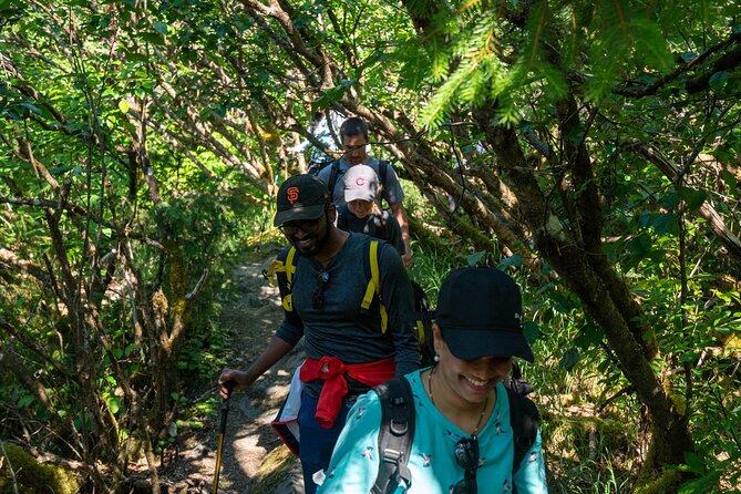 Mendenhall Glacier Guided Hike - Booking and Contact Information